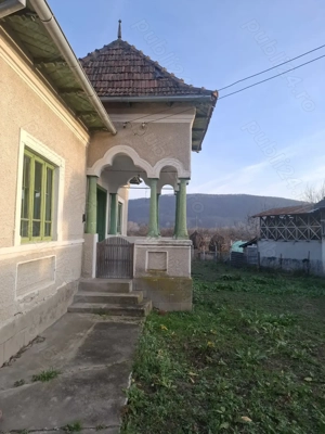 Teren 4.443 mp(intr+extra)+constructii vechi   Nicolae Bălcescu,  Pleșoiu jud Valcea  - imagine 9