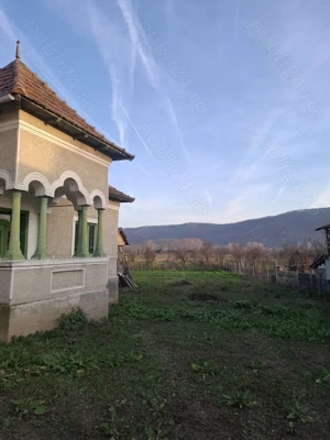 Teren 4.443 mp(intr+extra)+constructii vechi   Nicolae Bălcescu,  Pleșoiu jud Valcea  - imagine 13