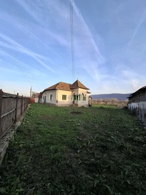 Teren 4.443 mp(intr+extra)+constructii vechi   Nicolae Bălcescu,  Pleșoiu jud Valcea  - imagine 10