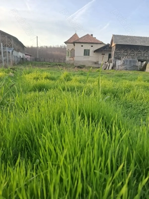 Teren 4.443 mp(intr+extra)+constructii vechi   Nicolae Bălcescu,  Pleșoiu jud Valcea  - imagine 16