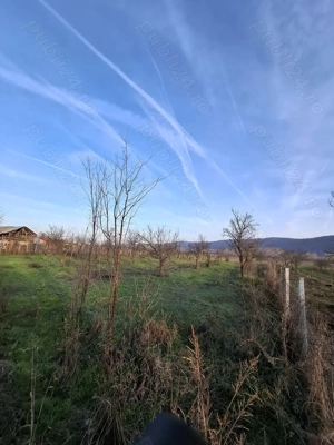 Teren 4.443 mp(intr+extra)+constructii vechi   Nicolae Bălcescu,  Pleșoiu jud Valcea  - imagine 8