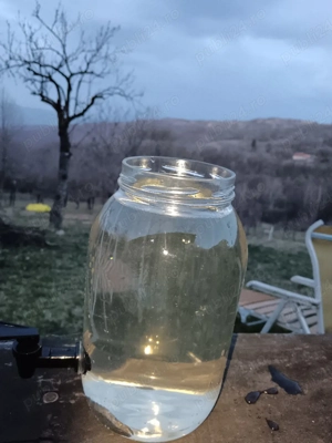 seva mesteacan  pret litru