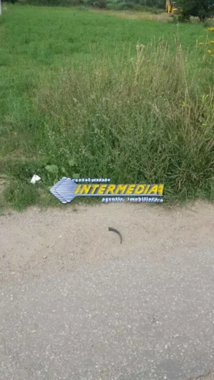 Teren intravilan 500 mp, Alba Micesti cu utilitati in fata  - imagine 6