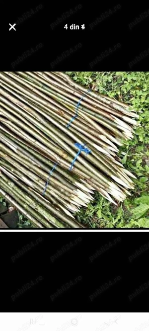 vând pari de fasole și roși ȘI PENTRU GARD ELECTRIC 