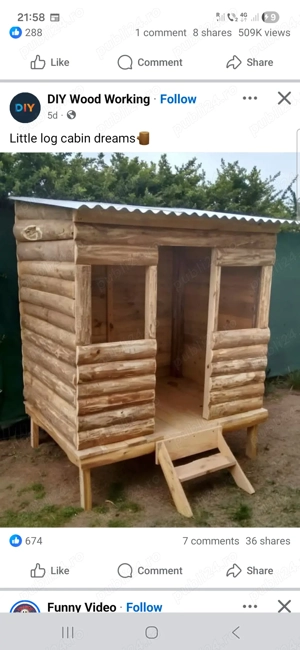 Gradinar , curațenie , intretinere 