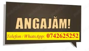 Angajare: Rigipsari   Zugravi   Slefuitor glet