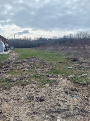 teren intravilan Dobrogostea Schiau  la 5 km de lidl Bascov  - imagine 4