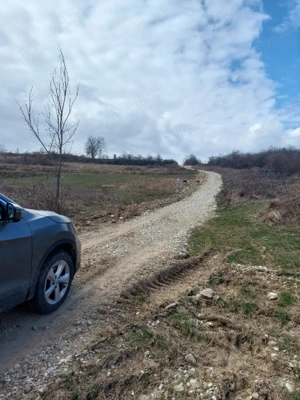teren intravilan Dobrogostea Schiau  la 5 km de lidl Bascov  - imagine 3