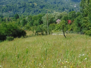 Vand teren superb in Provita de jos, langa Breaza