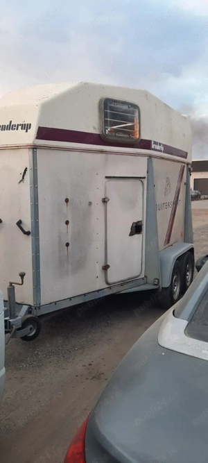 Remorcă pentru transportat Cai sau animale - imagine 9