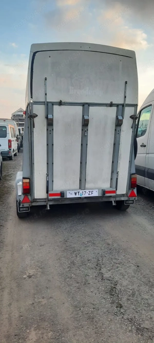 Remorcă pentru transportat Cai sau animale - imagine 7