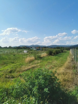 Teren intravilan, sat Sasar - imagine 3