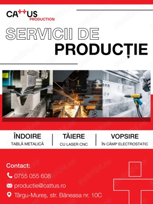 Servicii de producție: Îndoire tablă metalică, Tăiere cu laser CNC, Vopsire în câmp electrostatic