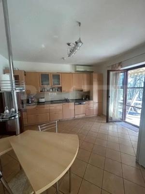 Vila Remetea Mare 380mp utili, 3982 mp teren - imagine 3