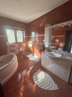 Vila Remetea Mare 380mp utili, 3982 mp teren - imagine 11