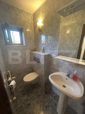 Vila Remetea Mare 380mp utili, 3982 mp teren - imagine 9