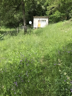 Teren Judetul Arges, comuna Babana - imagine 2