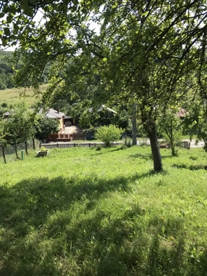 Teren Judetul Arges, comuna Babana