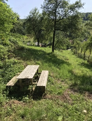 Teren Judetul Arges, comuna Babana - imagine 6