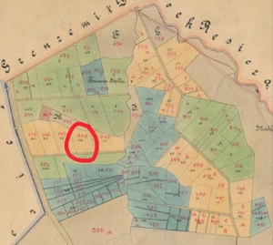     INVESTIȚIE REȘIȚA: 1.15 Hectare în Driglovăț   Natură, Intimitate și Potențial Forestier    - imagine 4