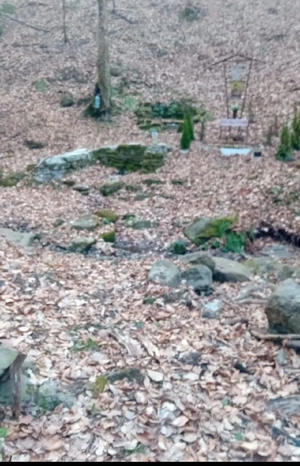     INVESTIȚIE REȘIȚA: 1.15 Hectare în Driglovăț   Natură, Intimitate și Potențial Forestier    - imagine 5