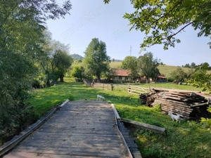 Vând teren + casă bătrânească 