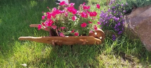 decoratiun gradina diverse modele 