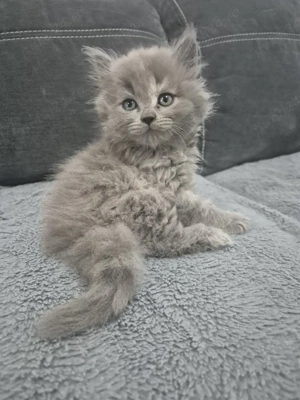 de vanzare - imagine 2