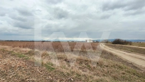 Teren Intravilan 21.439mp S+P+3E+ER deschidere 77m  Calea Surii Mici