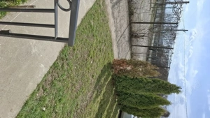 Vand apartament la vilă 62,17 mp utili plus alte dependinte.Girov Neamt