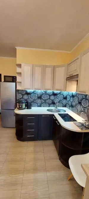 Garsonieră de închiriat   Domenii  - imagine 6