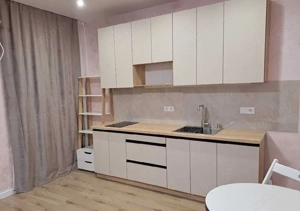 Garsonieră de închiriat   Ion Mihalache