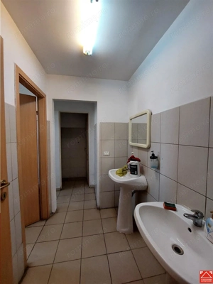 3 hale de inchiriat in Micalaca - imagine 18