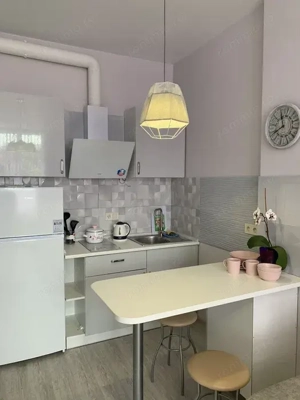 Garsonieră de închiriat   Ion Mihalache