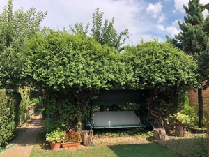 BRASADAS vinde casa cu 7 camere si teren 1100mp in zona Burdea. - imagine 20