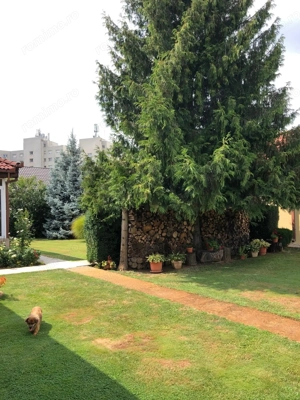 BRASADAS vinde casa cu 7 camere si teren 1100mp in zona Burdea. - imagine 19
