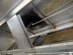 Angajam muncitor curatenie si deratizare - imagine 13