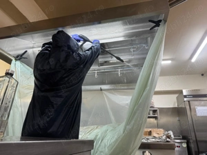 Angajam muncitor curatenie si deratizare - imagine 10