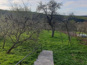 Casa cu sura 1850mp Marginimea Sibiului Rod jud Sibiu - imagine 4