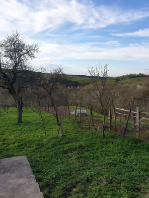 Casa cu sura 1850mp Marginimea Sibiului Rod jud Sibiu - imagine 2