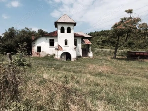Conac boieresc + teren de 53.000 mp cu vita de vie - imagine 3