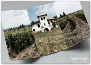 Conac boieresc + teren de 53.000 mp cu vita de vie - imagine 10