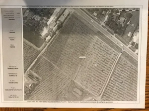 Conac boieresc + teren de 53.000 mp cu vita de vie - imagine 2