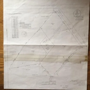 Conac boieresc + teren de 53.000 mp cu vita de vie - imagine 6