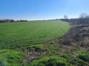 Teren intravilan, zona industriala - imagine 3