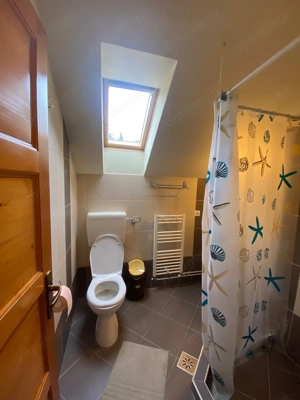 Vila/Pensiune + Casa, Teren 50 arii,  Sovata - imagine 11