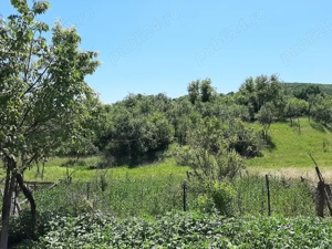 Casă solidă din cărămidă 100 mp, 4000 mp teren - imagine 5