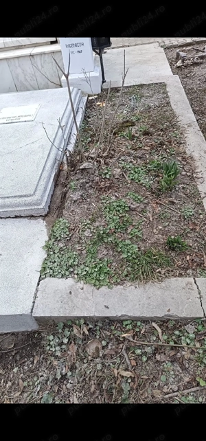 Vând loc de veci cimitirul Bellu, aleea scroitorilor