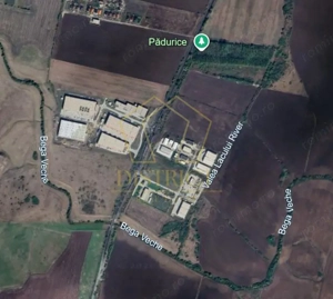 COM 0% Parcele de 4000 mp pentru hale, servicii | Sanandrei - imagine 3