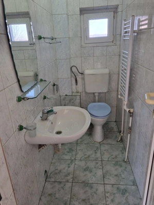 Proprietate cu 2 case și cabană,teren 1202 mp,Băcia,jud.Hunedoara - imagine 3